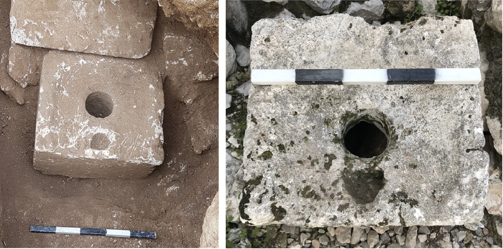 Nawet starożytne odchody są cenne. Oto, czego można się dzięki nim dowiedzieć