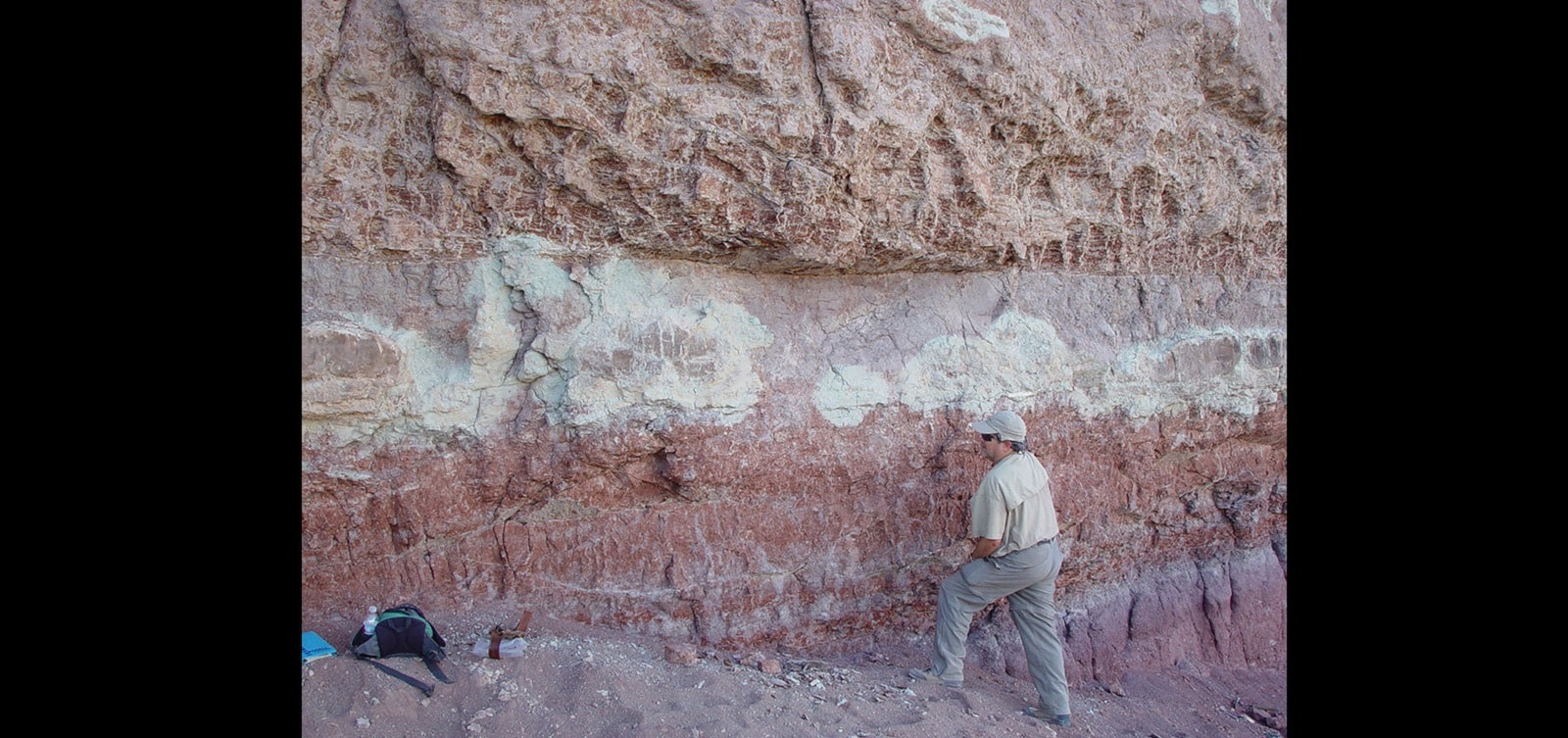 Przełomowe znalezisko dotyczące dinozaurów. Te gigantyczne zwierzęta zamieszkiwały Ziemię wcześniej, niż sądzono