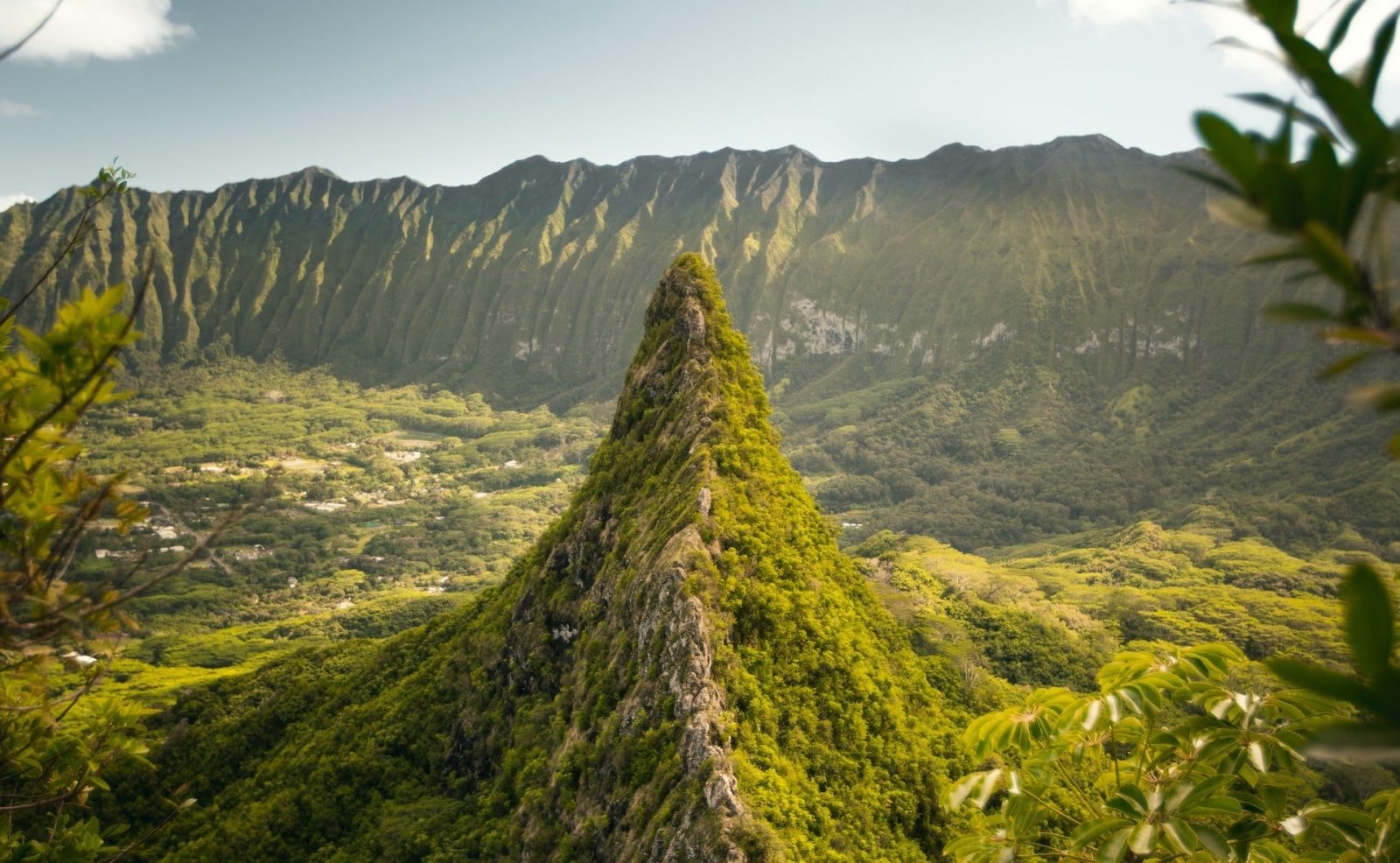 Jedna zasada rządzi całym życiem na Ziemi. Naukowcy od wieków szukali potwierdzenia
