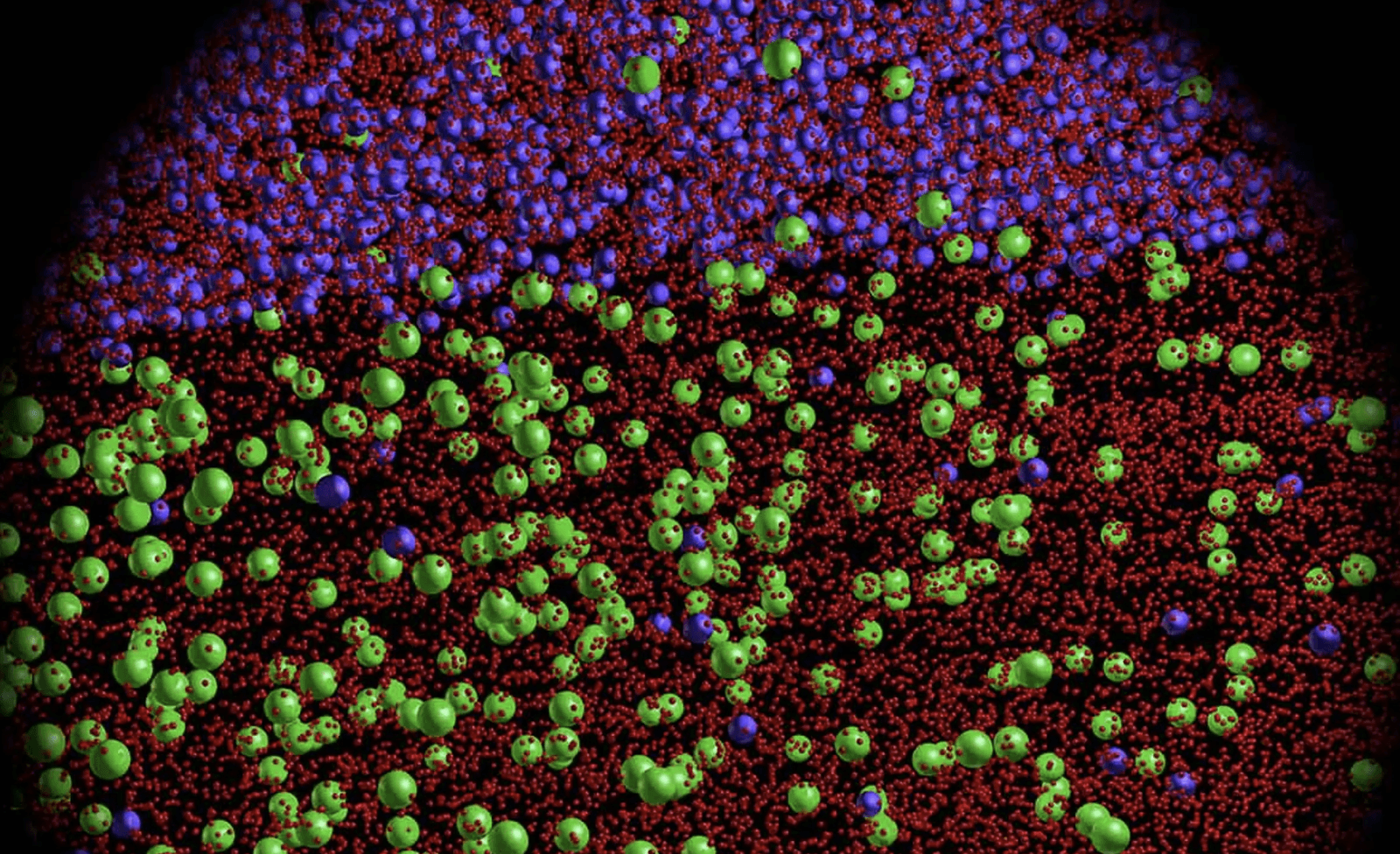 Mikrostruktura nowego stopu tytanu. Prawie cały tlen znajduje się w kryształach fazy alfa, prawie całe żelazo znajduje się w kryształach fazy beta /Fot. RMIT
