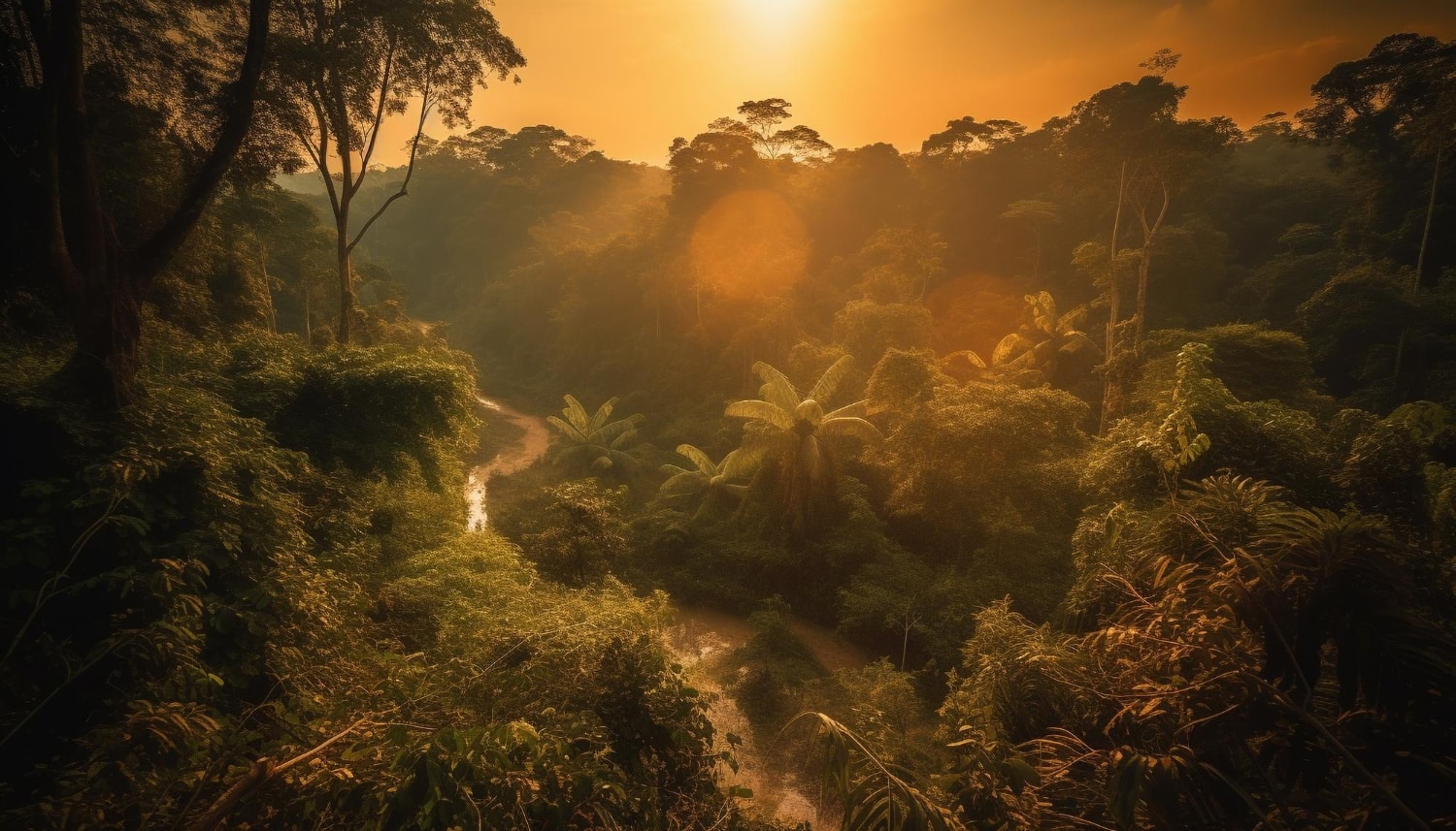 Ta palma występuje tylko na Borneo /Fot. Freepik
