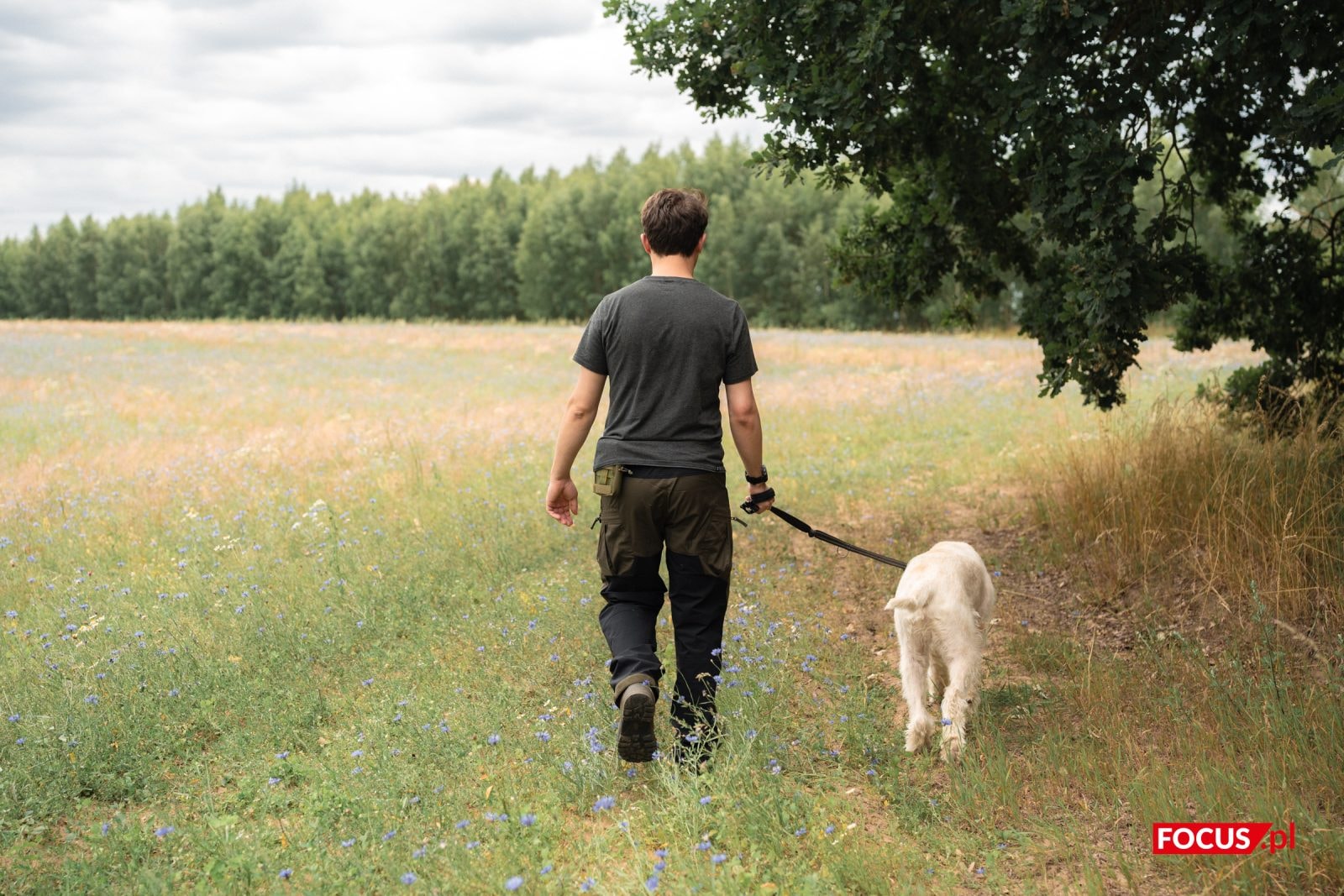 Kleszcze – fakty i mity. Podpowiadamy, jak się przed nimi bronić