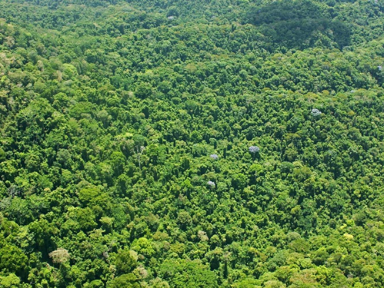 Czy to legendarne zaginione miasto? Archeolodzy dokonali przełomu w poszukiwaniach