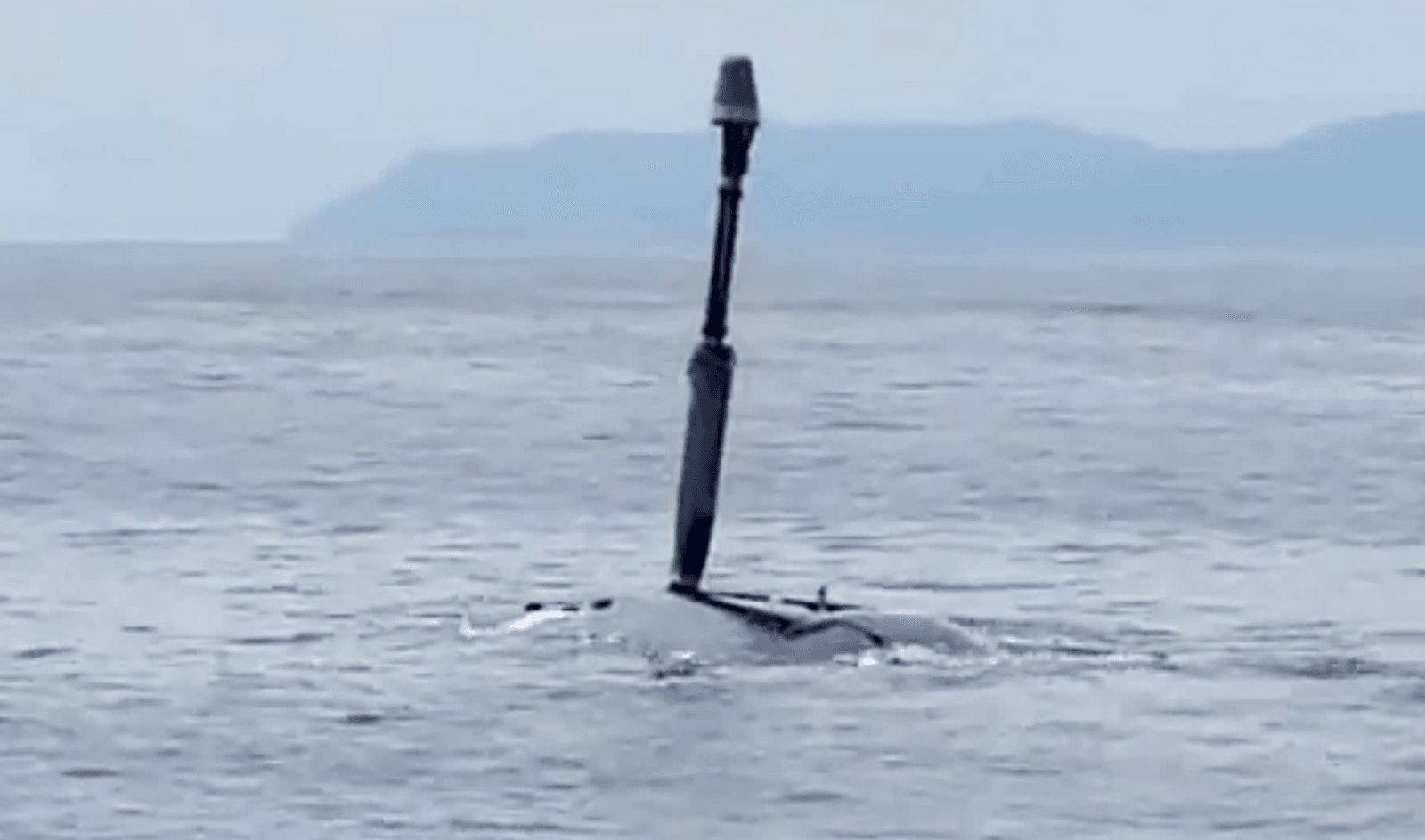 Orca już pod wodą /Fot. Twitter
