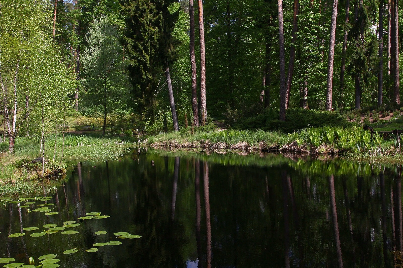 Warmińskie Pompeje. W Polsce znajduje się niesamowita kapsuła czasu