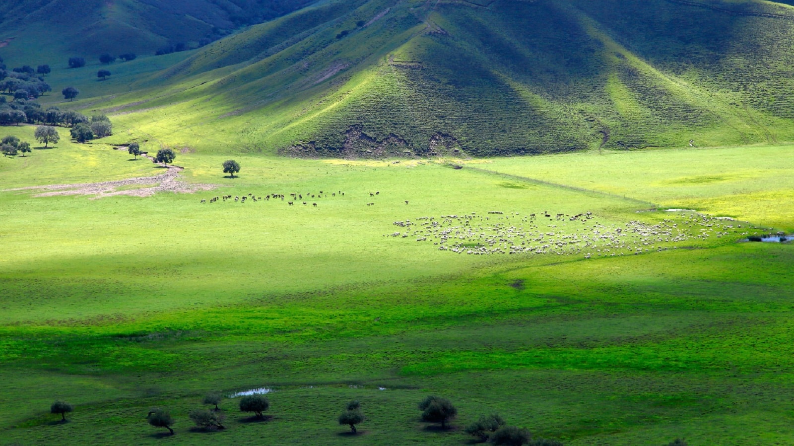 Wielki Mur Chiński ma konkurenta. Archeolodzy znaleźli go w zupełnie innym kraju 