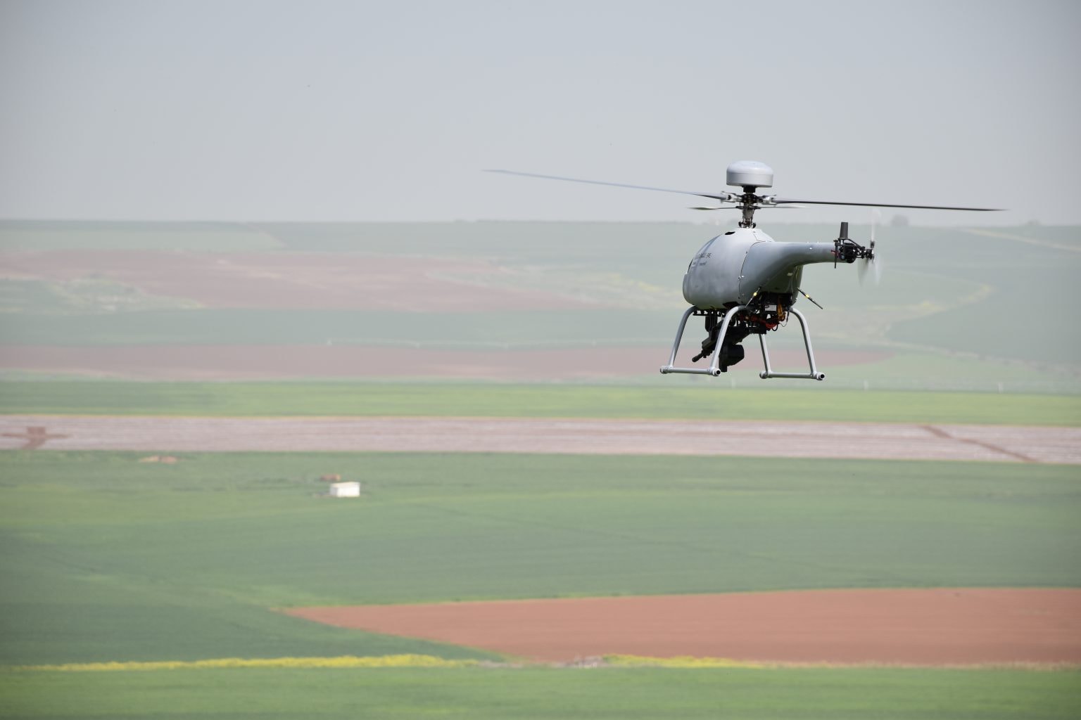 Golden Eagle /Fot. Steadicopter
