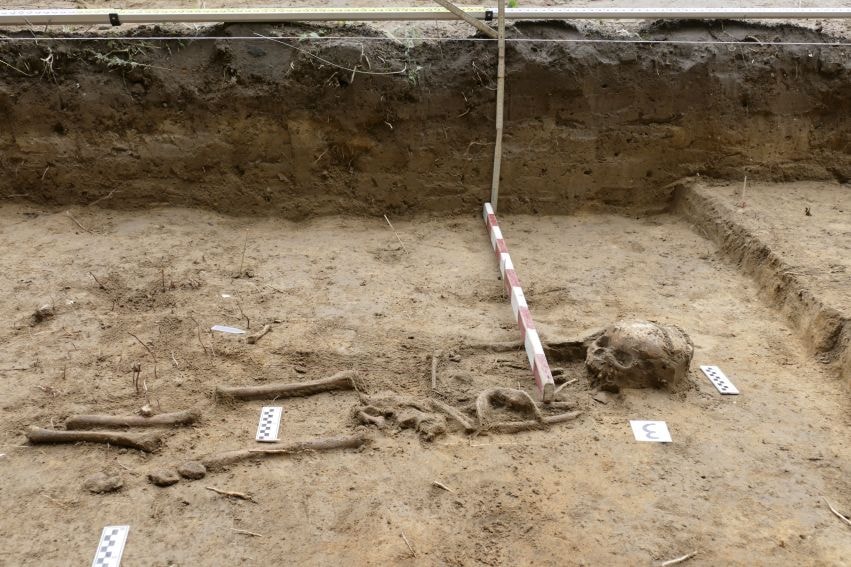Wykopaliska na terenie Ogrodu Botanicznego UMCS, fot. dr Rafał Niedźwiadek, UMCS, materiały prasowe
