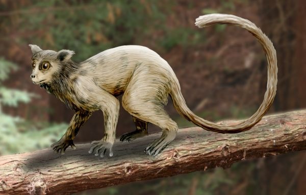 Przykładowy omomyid z rodzaju Necrolemur / źródło: Nobu Tamura, Wikimedia Commons, CC-BY-SA-3.0
