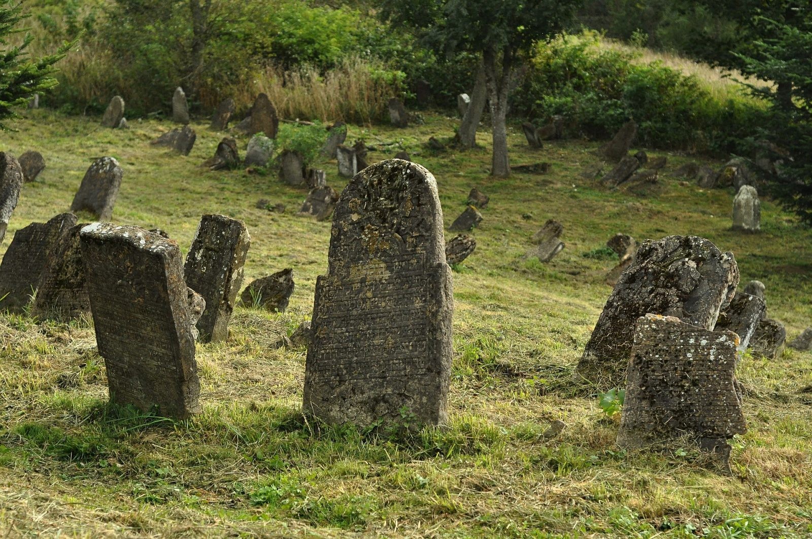 Poglądowe zdjęcie cmentarza z czasów nowożytnych
