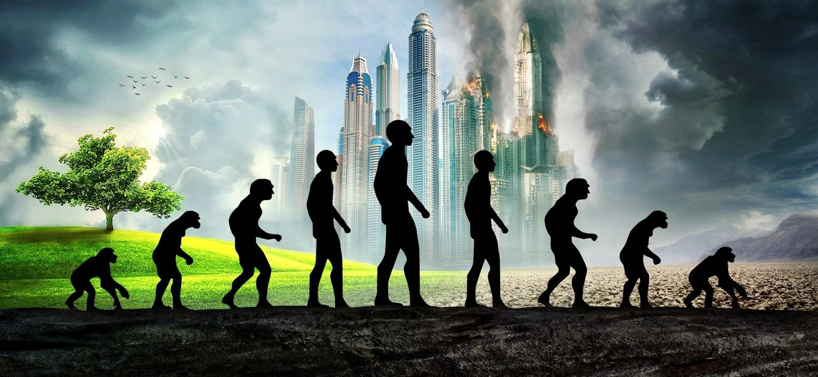 Ludzkość przetrwała tak długo dzięki niezwykle skutecznej ewolucji
