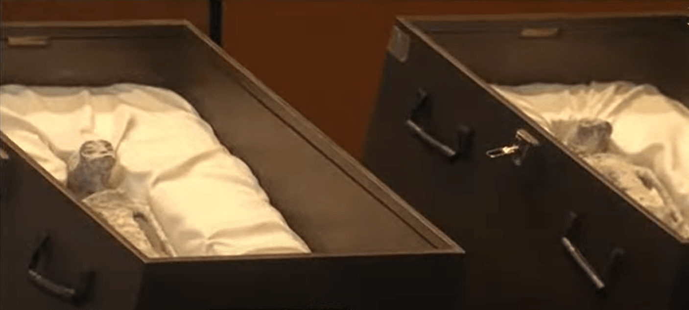 Rzekome mumie obcych / źródło: Youtube, Canal del Congreso Mexico, zrzut ekranu
