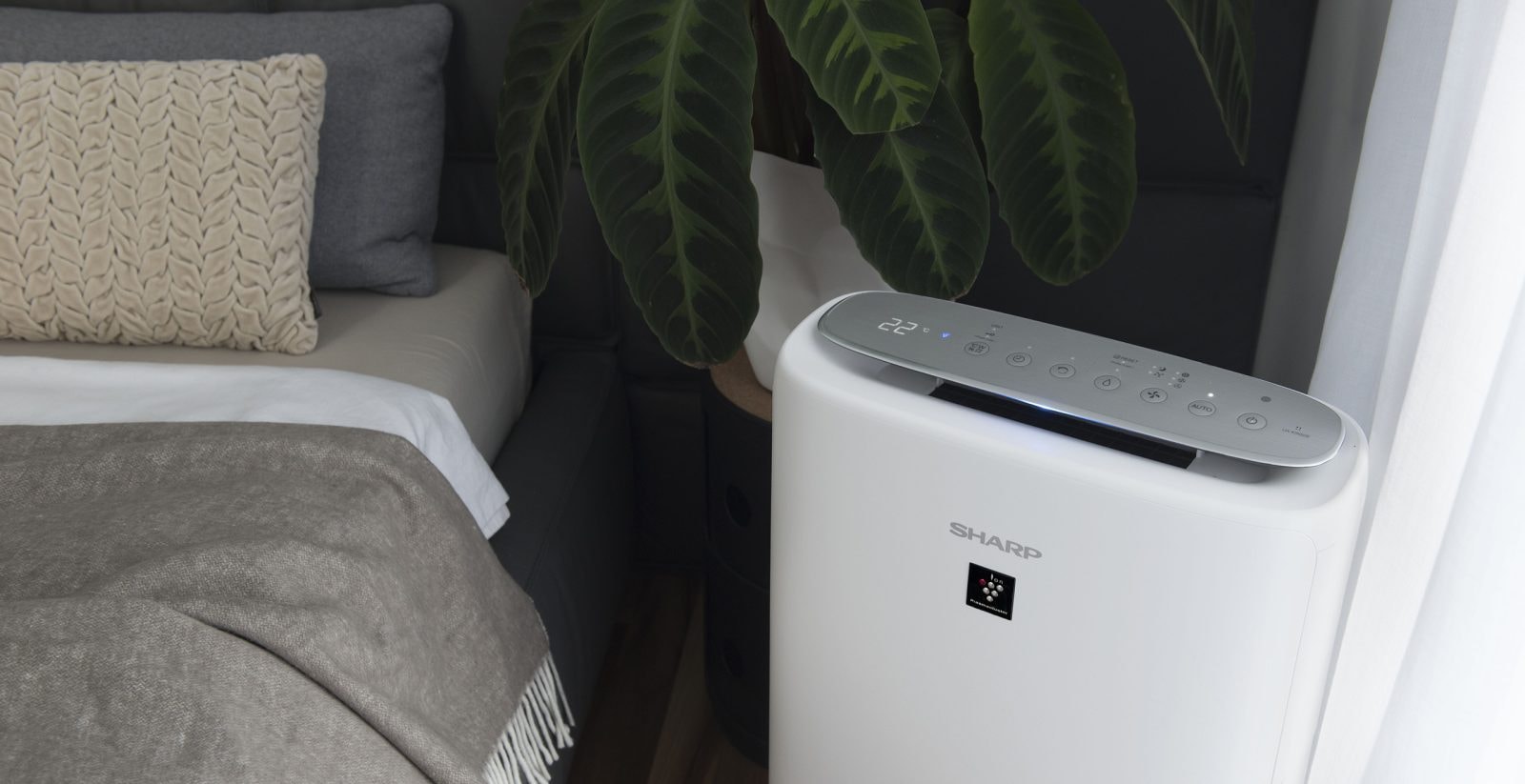 Oczyszczacz powietrza to sprzęt nie tylko na zimę – Sharp ma coś na każdy dzień roku
