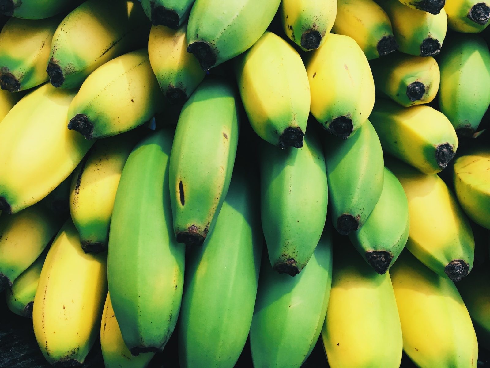Banany coraz częściej są atakowane przez choroby grzybicze /Fot. Unsplash
