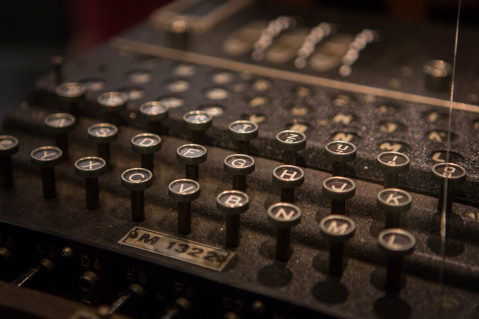 Zagadkowe powiązania między biologią a matematyką. Aż trudno uwierzyć, by to było dzieło przypadku 