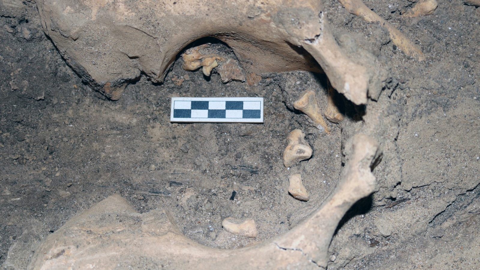 Grób ze szczątkami kobiety sprzed 3000 lat odkryty w Amarnie /Fot. Amarna Project

