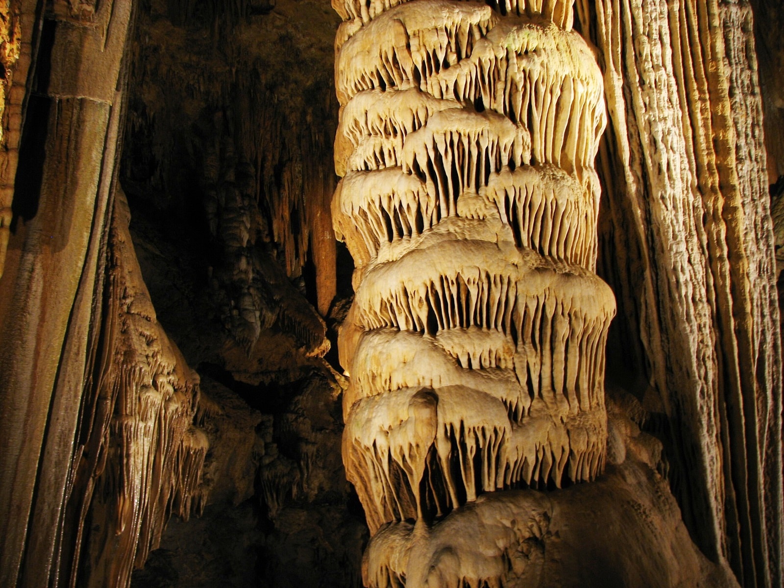 Instrument muzyczny sprzed 300 milionów lat. Niebywałe znalezisko w głębokiej jaskini 