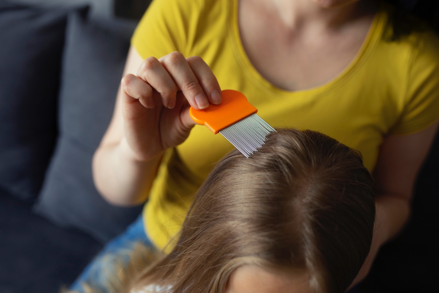 Wszy nawet dzisiaj stanowią poważny problem /Fot. Freepik
