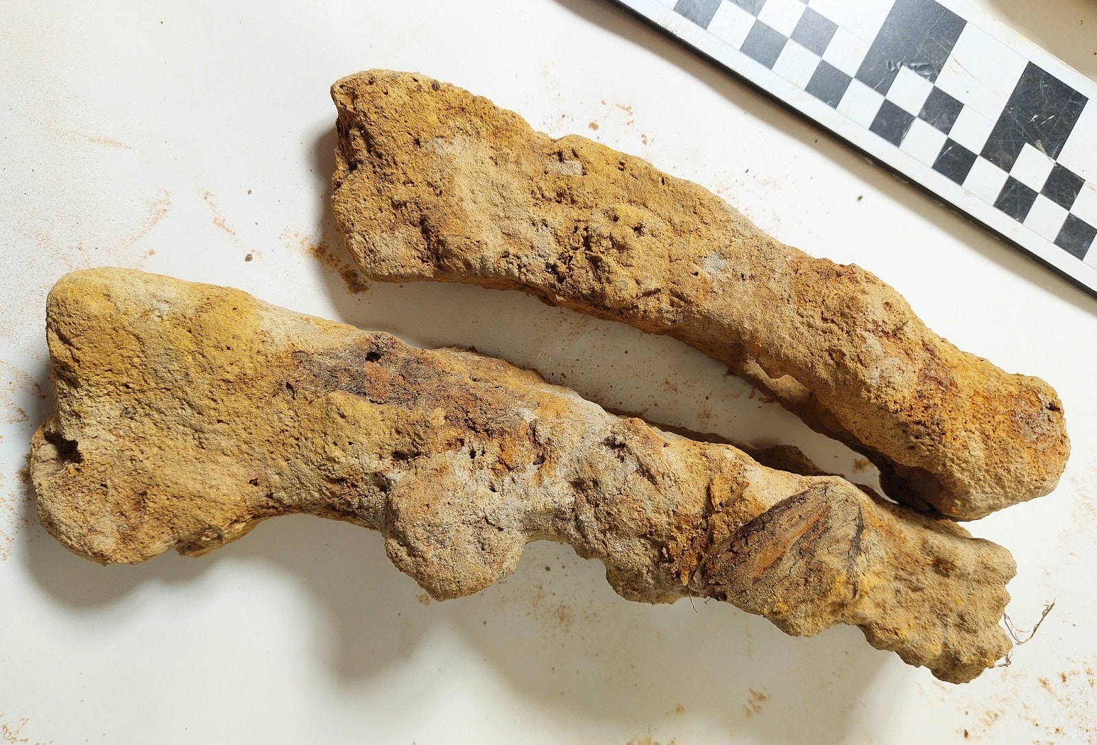 Broń barbarzyńców znaleziona w Polsce. Archeolodzy weszli w posiadanie obiektów z czasów Jezusa