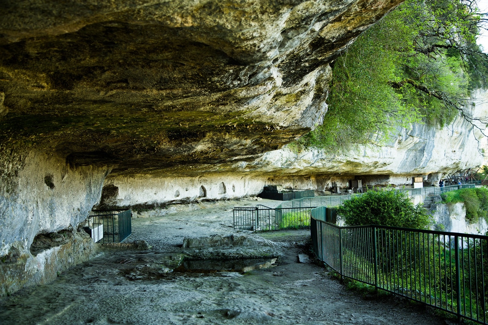 Tajna broń sprzed dziesiątków tysięcy lat. Za tym rozwiązaniem nie stali Homo sapiens 