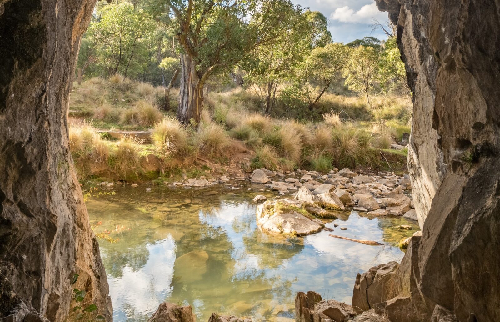 Krajobraz Nowej Południowej Walii
