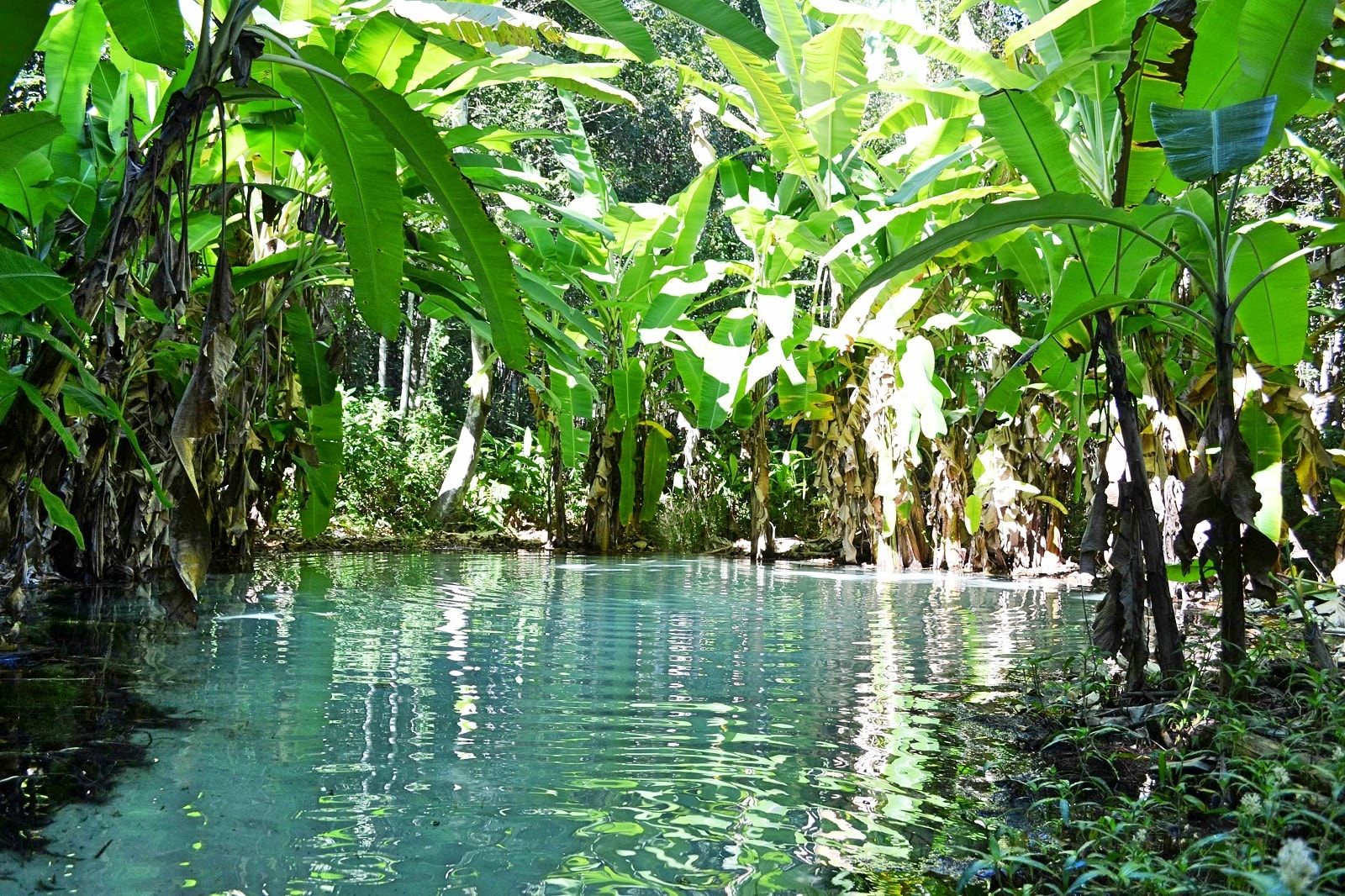 Tamtejsza sztuka naskalna liczy tysiące lat. Archeolodzy odnaleźli aż 16 nieznanych wcześniej stanowisk