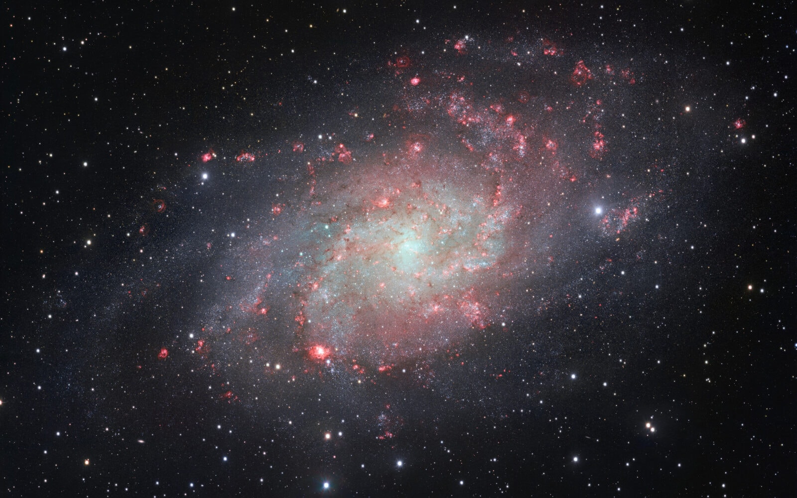 M33
