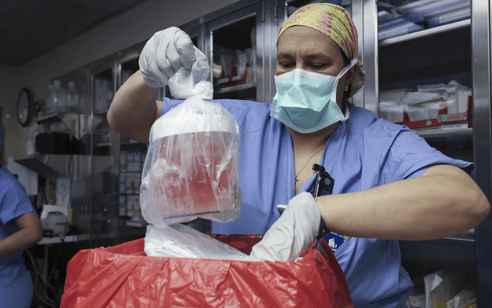 Ten organ pochodzi od świni /Fot. MGH
