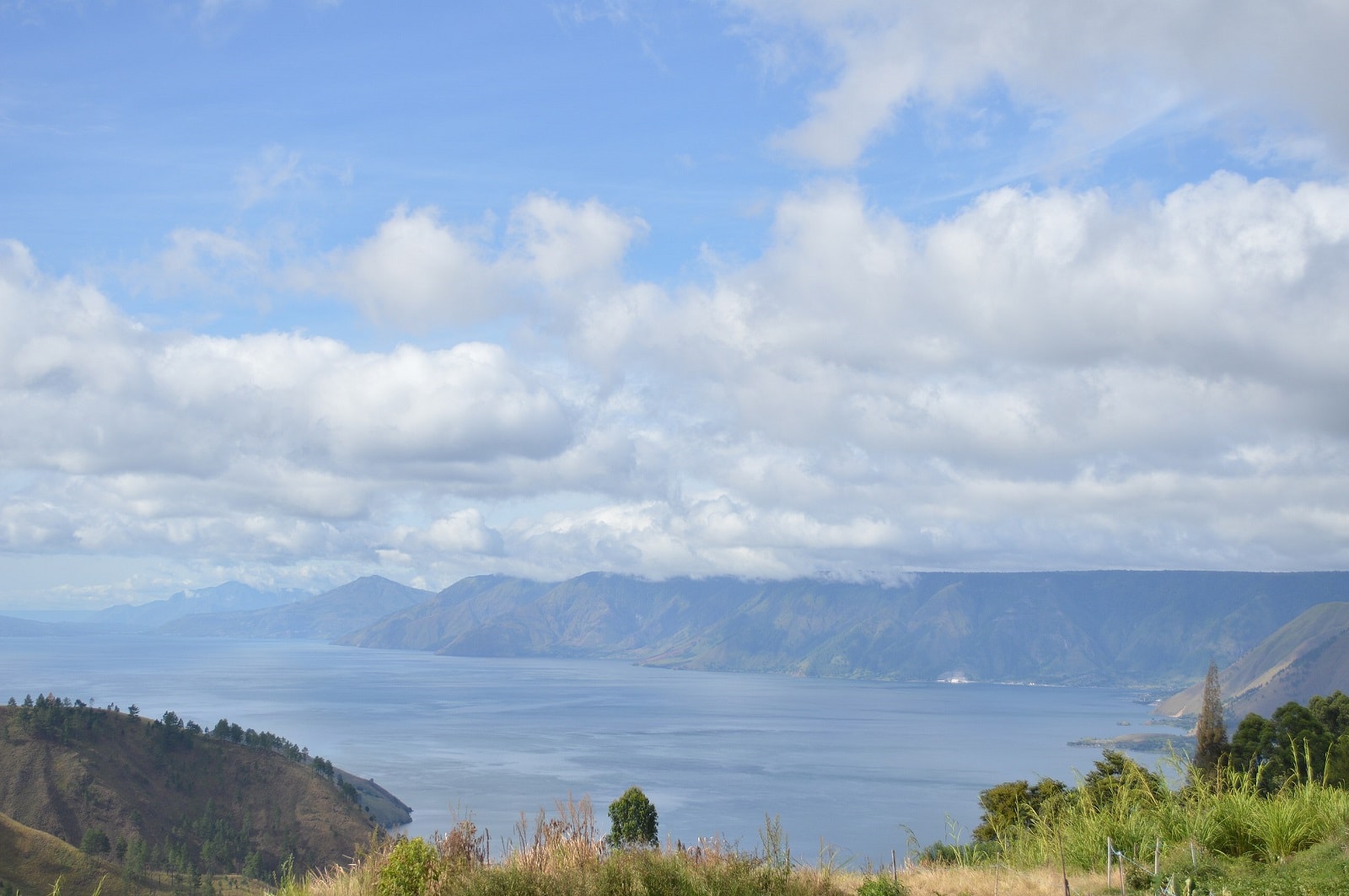 Ludzkość była na skraju wyginięcia. Naukowcy przeanalizowali dowody na potężny kataklizm
