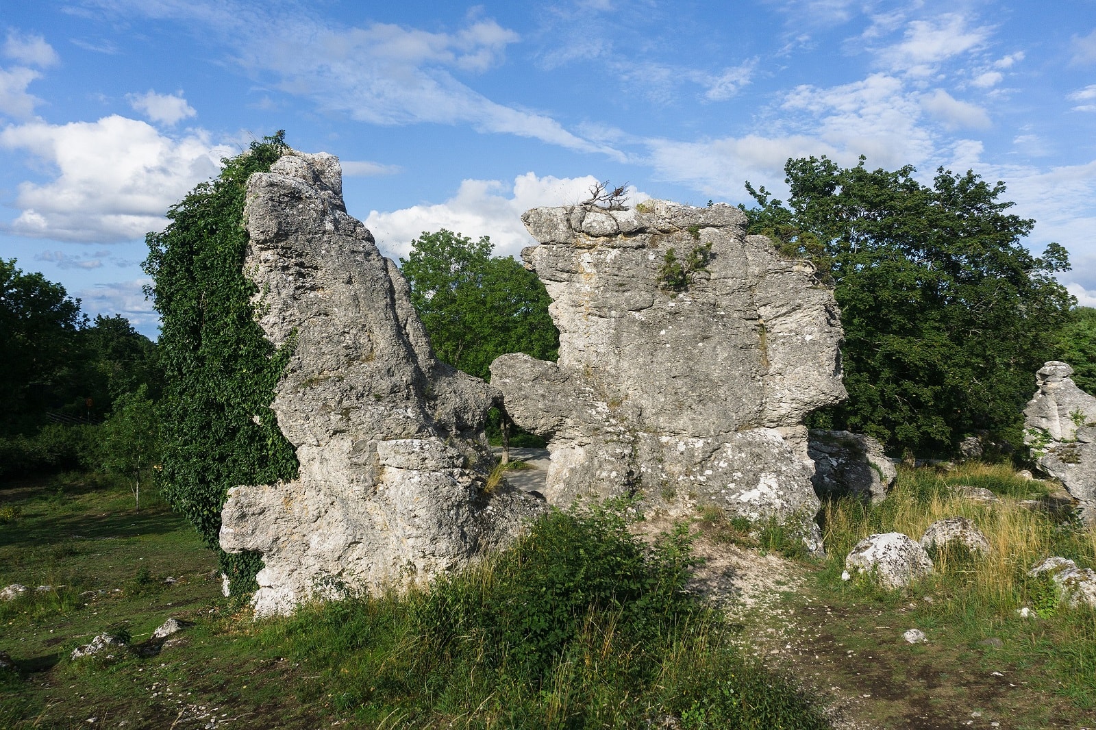 Tamtejsze kobiety miały naprawdę dziwne czaszki. Znalezione na Bałtyku szczątki to potwierdzają