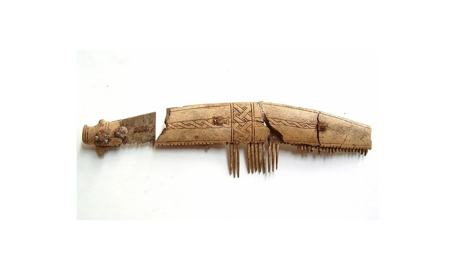 Grzebień wikinga to zaskakujące źródło wiedzy. Znalezisko unikatowe w skali kraju