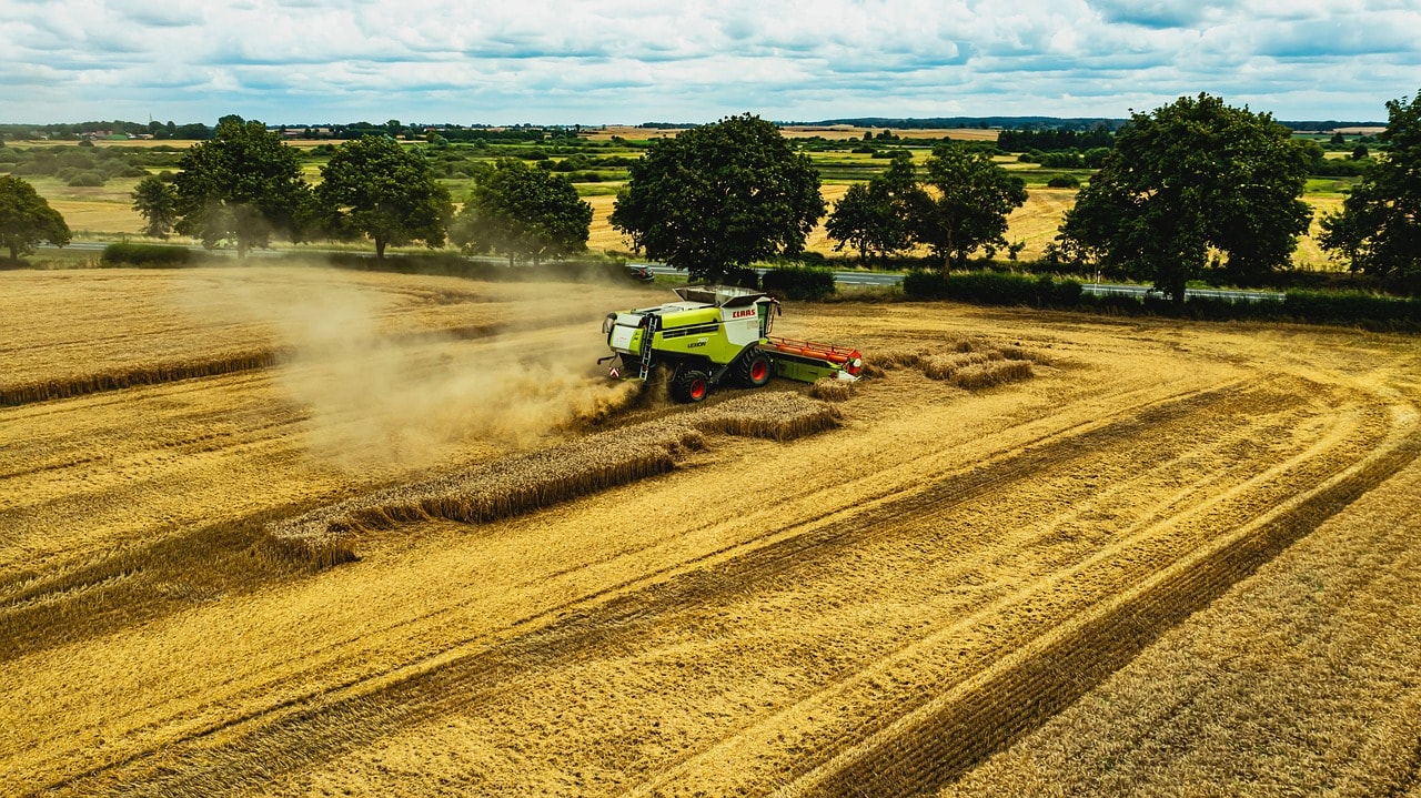 Łodygi słonecznika zamienią się w paliwo dla statków i ciężarówek. Chińczycy budują największą taką fabrykę na świecie