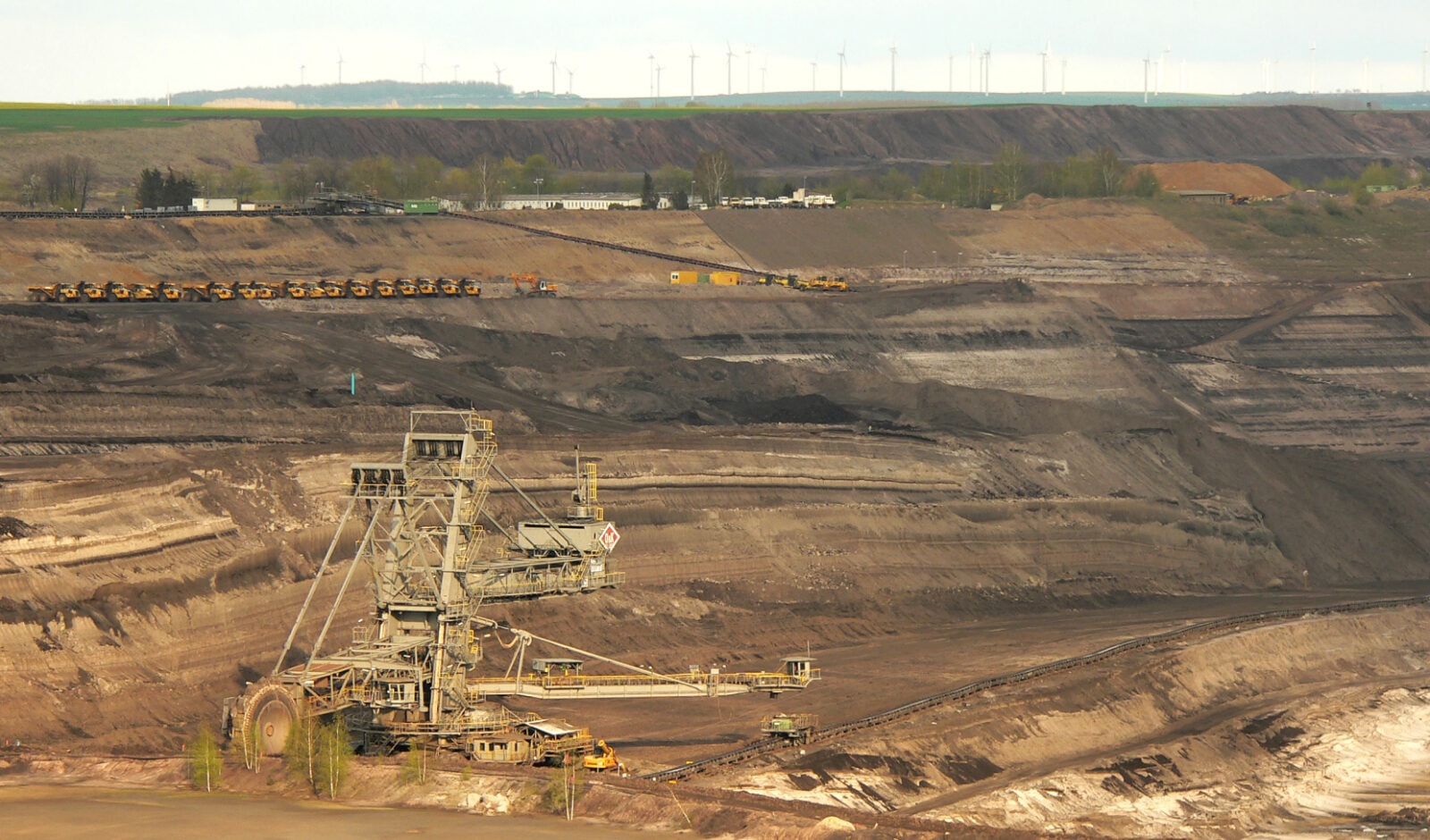 Naukowcy przeanalizowali broń sprzed setek tysięcy lat. Przełomowe badania wskazują na łączącą ją cechę