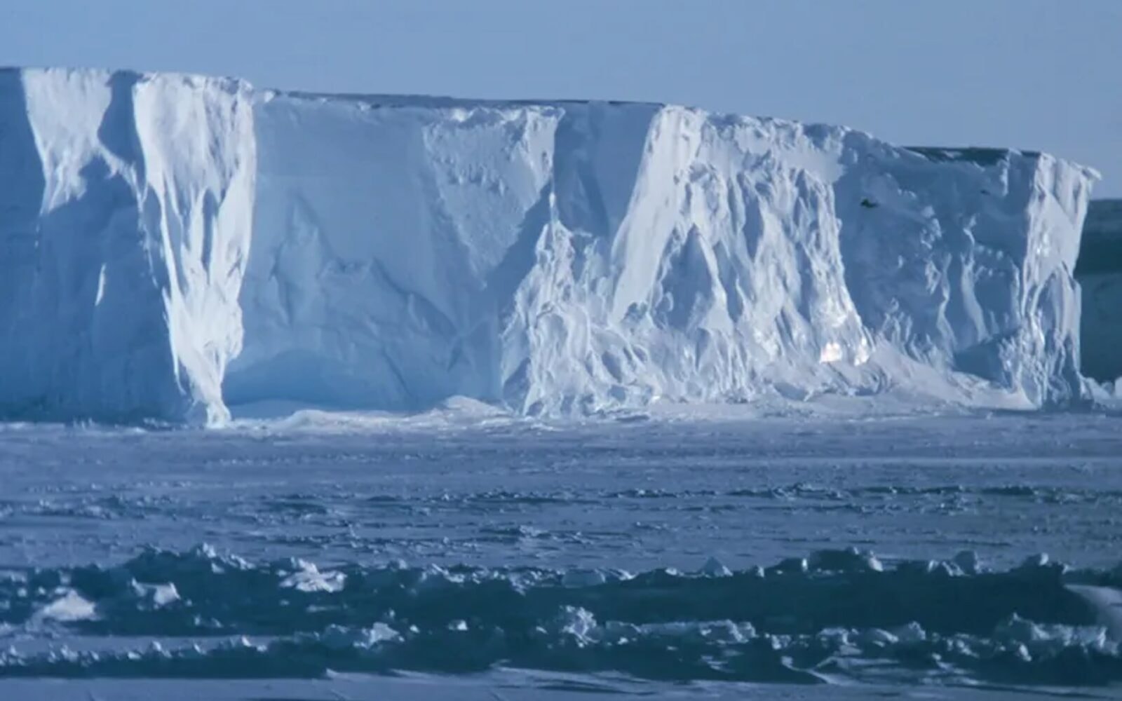 Bursztynowe okruchy zmieniają historię Ziemi. Antarktyda ujawnia swoje tajemnice