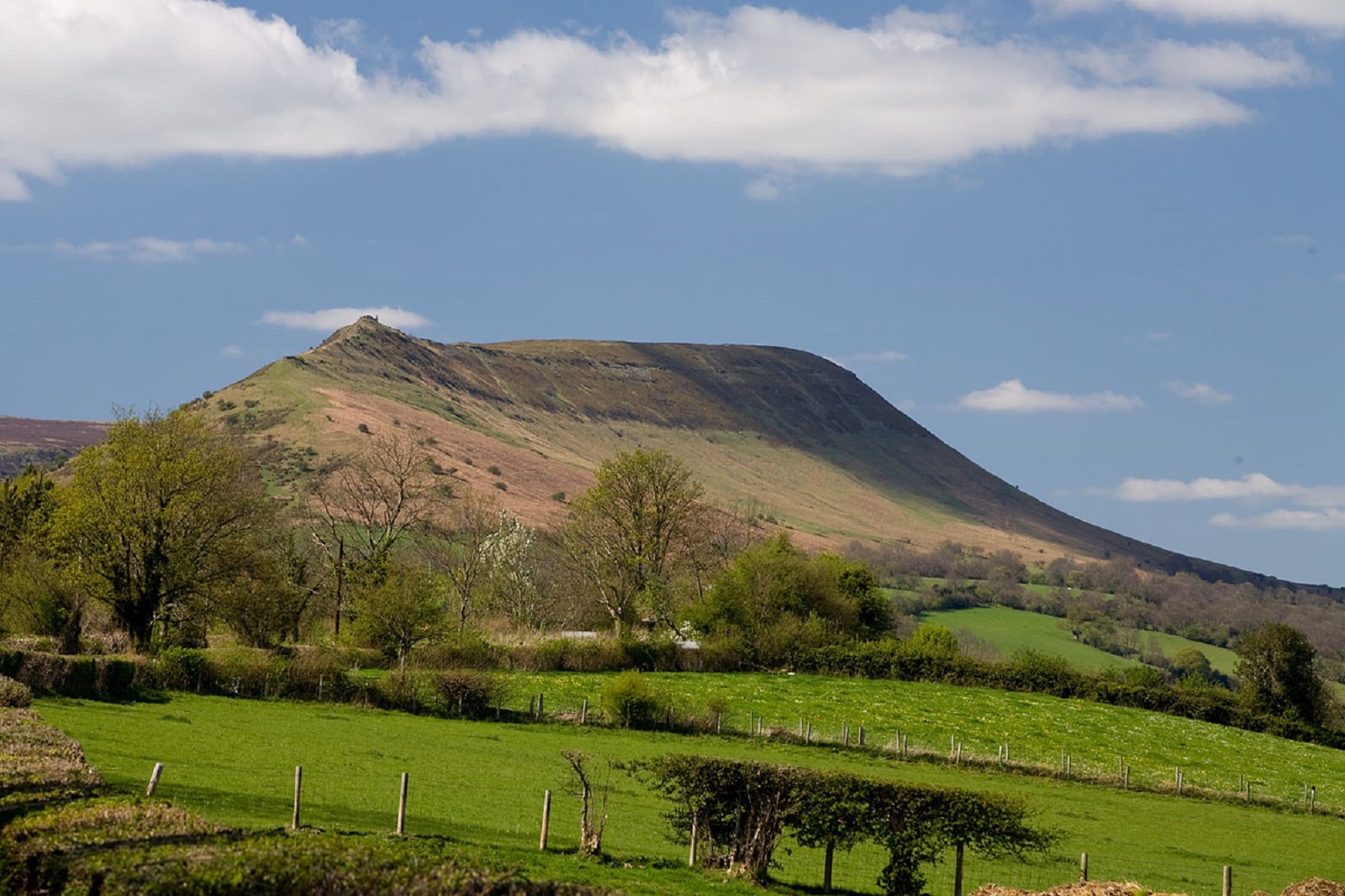 Skarb wikingów znowu zniknął. Przestępcy przekuli archeologiczny sukces w dramat