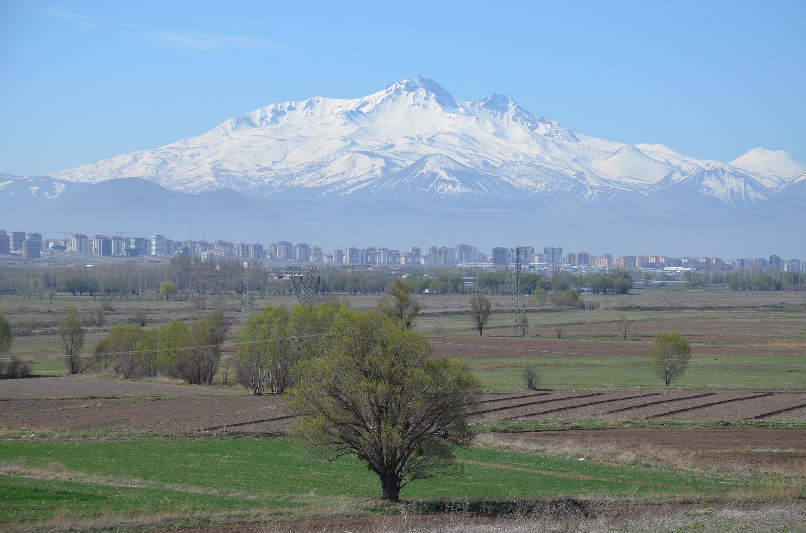 Najstarsza firma świata zaskakuje wiekiem. W to niesamowite znalezisko aż trudno uwierzyć