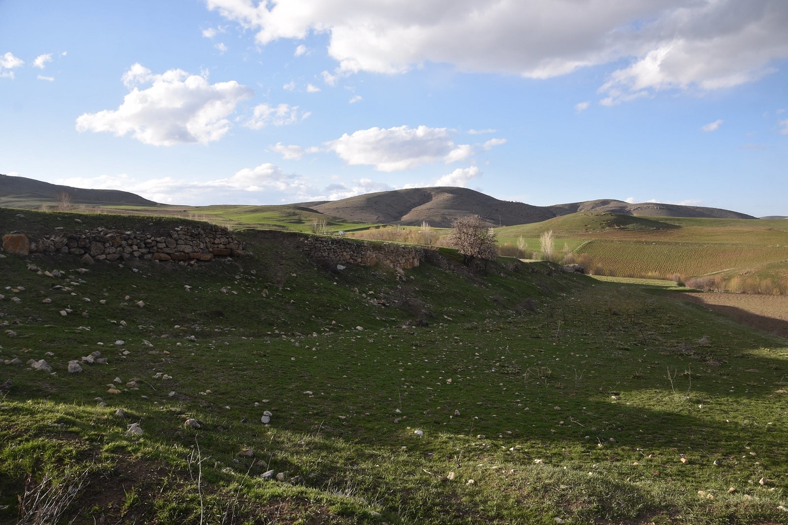 Jedyna taka zbroja sprzed 1500 lat. Należała do żołnierza dawnego legionu 