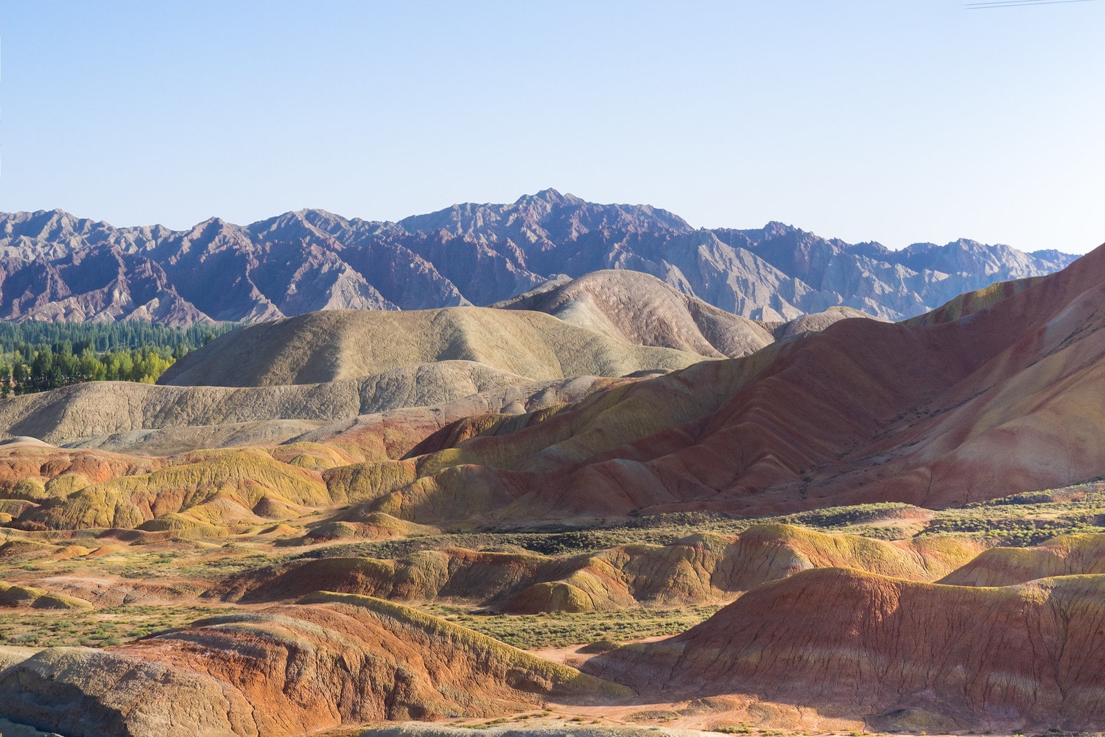 Makabryczne znalezisko z Chin. Wiemy, w jakim celu w prehistorii składano tam ofiary
