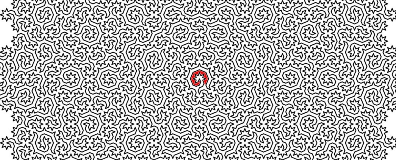 Najtrudniejszy labirynt w historii. Przypomina coś, co można znaleźć w naturze