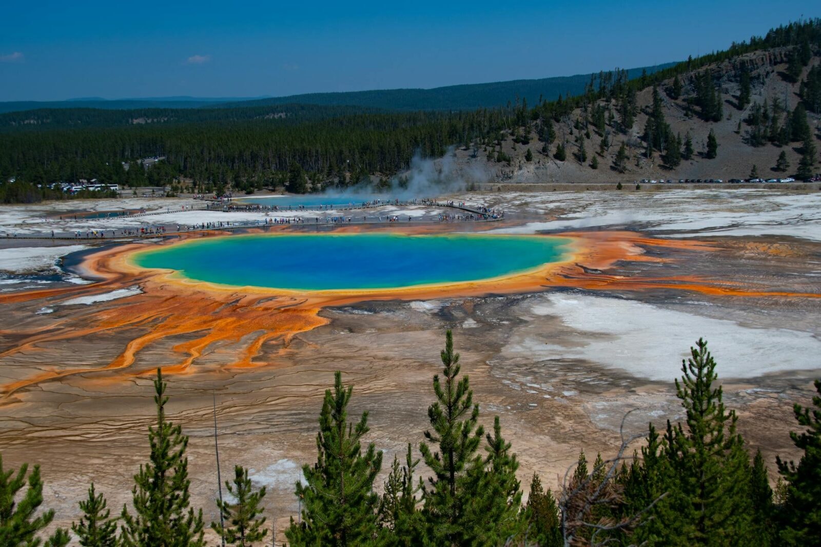 Yellowstone 
