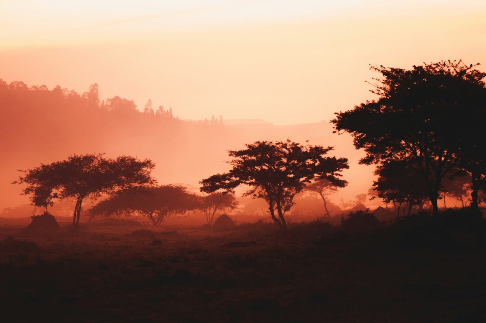 Rwanda – krajobraz /Fot. Unsplash

