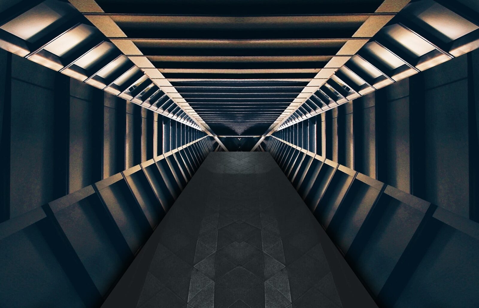 Gigantyczna kosmiczna arka dla 1500 osób. Ten projekt może zmienić przyszłość ludzkości