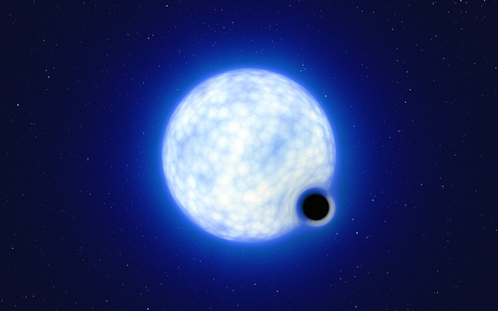 This artist’s impression shows what the binary system VFTS 243 might look like if we were observing it up close. The system, which is located in the Tarantula Nebula in the Large Magellanic Cloud, is composed of a hot, blue star with 25 times the Sun’s mass and a black hole, which is at least nine times the mass of the Sun. The sizes of the two binary components are not to scale: in reality, the blue star is about 200 000 times larger than the black hole.  Note that the ‘lensing’ effect around the black hole is shown for illustration purposes only, to make this dark object more noticeable in the image. The inclination of the system means that, when looking at it from Earth, we cannot observe the black hole eclipsing the star.
