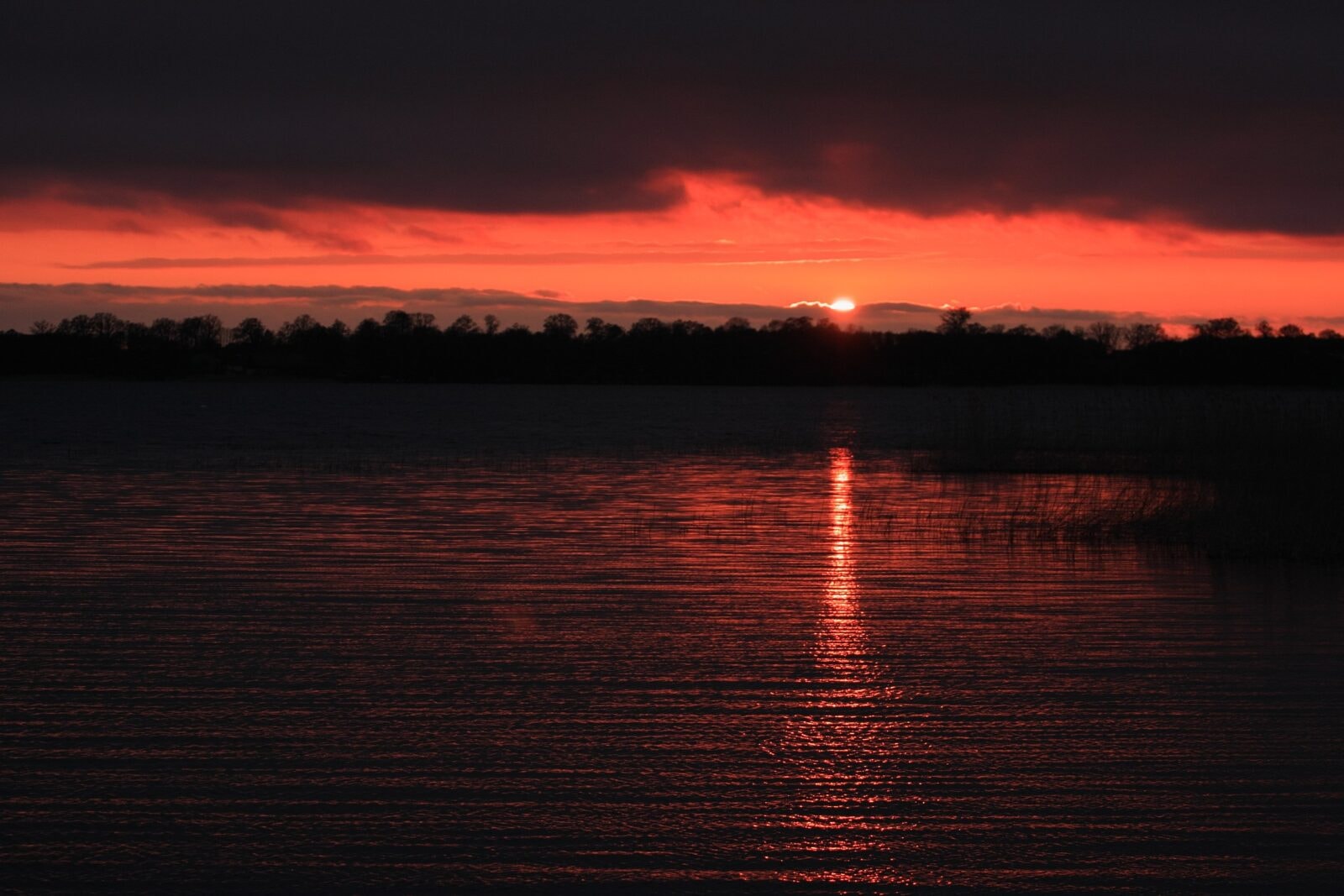 Pradawny skarb odkryty na Mazurach. Archeologiczne znalezisko roku
