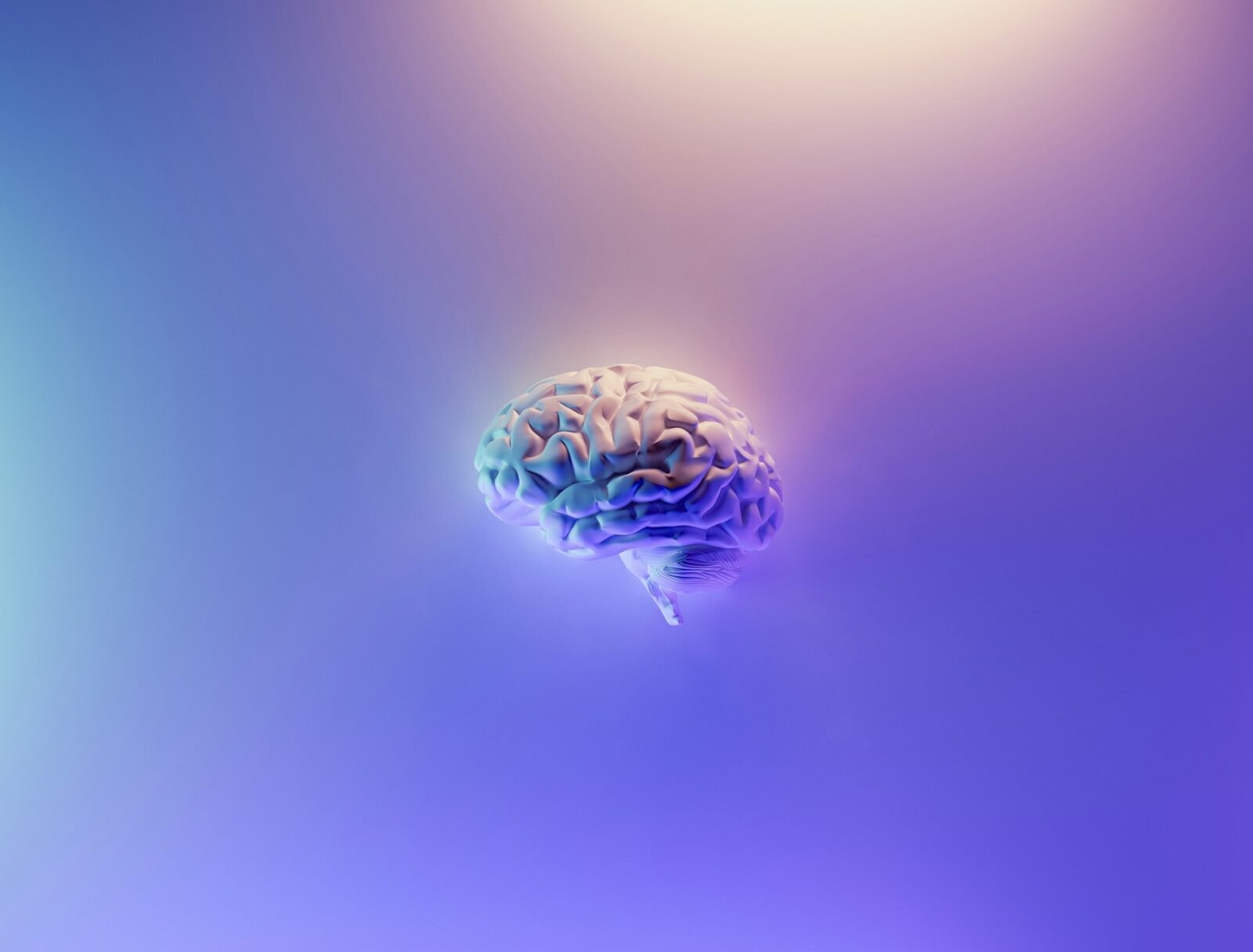 Mózg &#8211; grafika koncepcyjna /Fot. Unsplash

