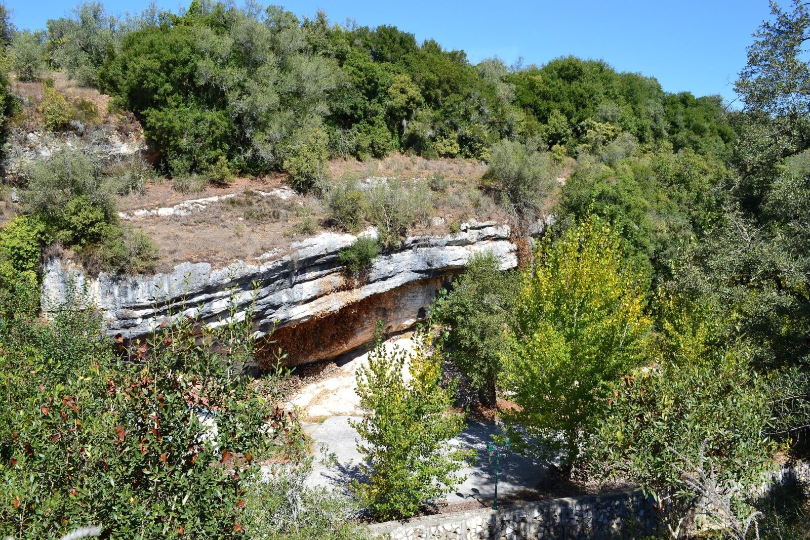 Zaginione ogniwo ewolucji odnalezione? Archeolodzy znaleźli brakujący element!