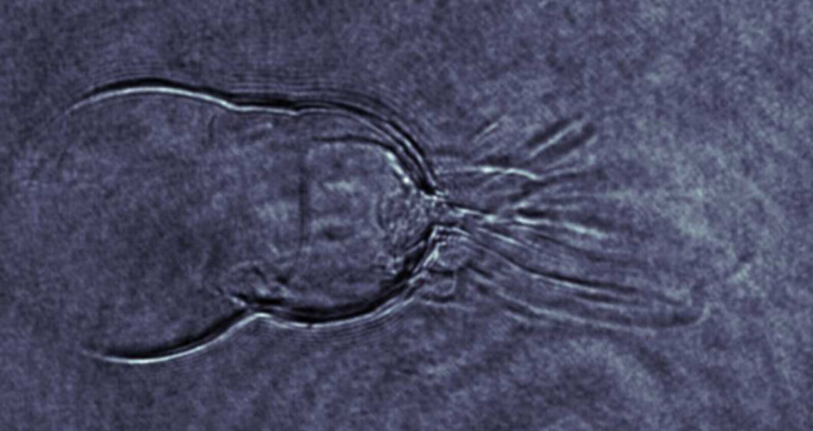 Zobacz, jak naukowcy okiełznali najbardziej nieprzewidywalną formę materii