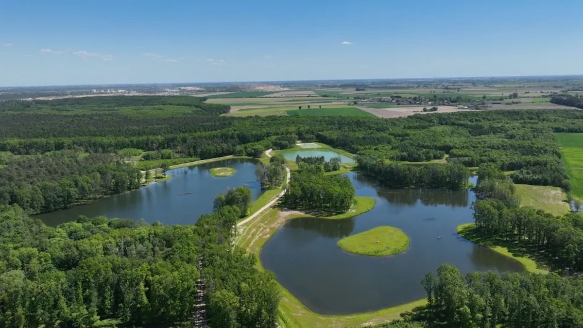 Woda z kopalni uratowała las. Polski projekt robi wrażenie na świecie