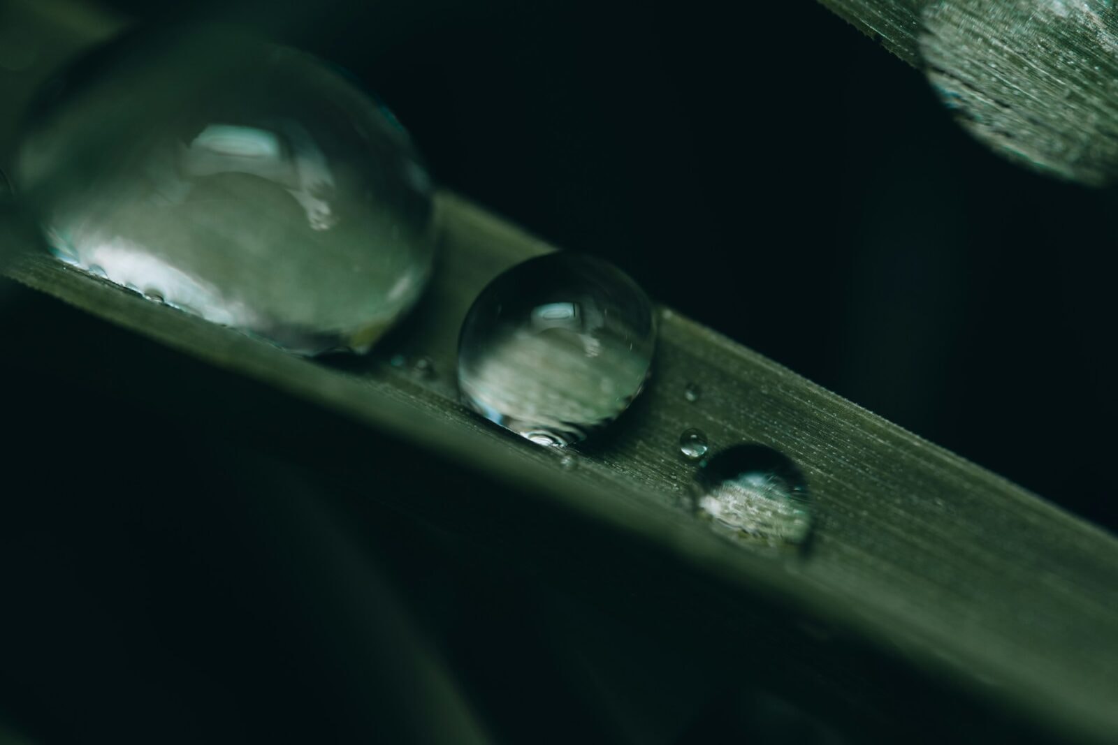 Krople &#8211; zdjęcie poglądowe /Fot. Unsplash
