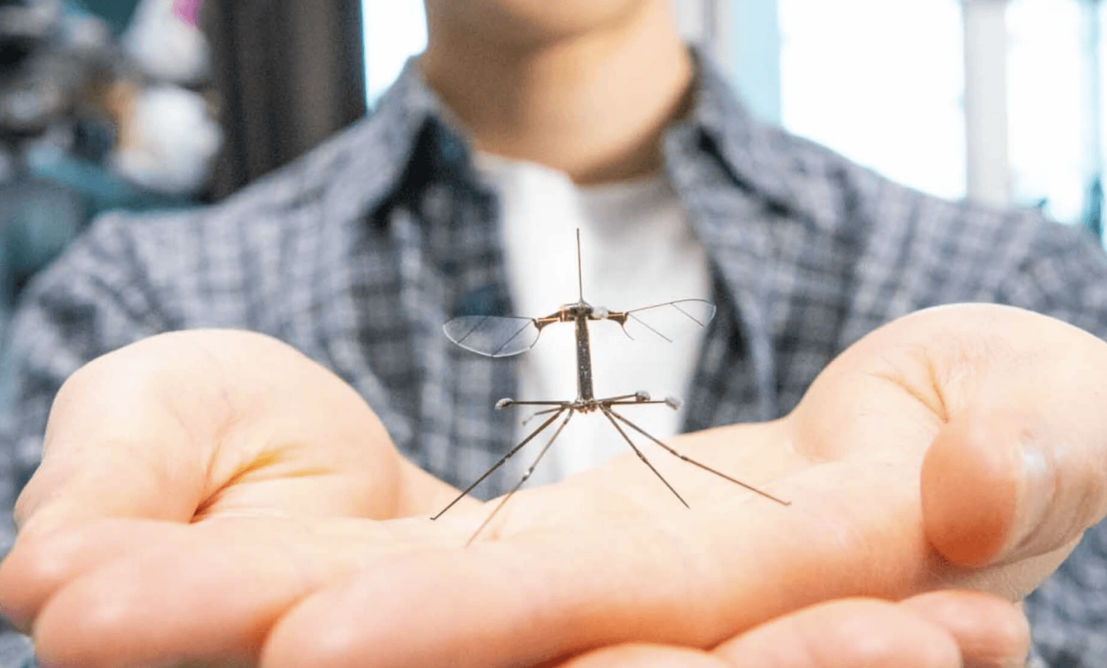 RoboBee w pełnej krasie /Fot. HSE
